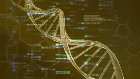 Animation of dna helix rotating over illuminated bar graphs and computer Stock Footage 209255618
