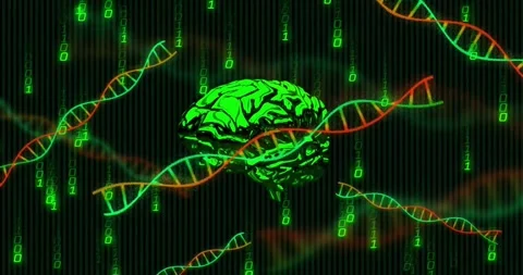 Animation of dna helixes, rotating digital human brain, falling binary codes Stock Footage 328244192