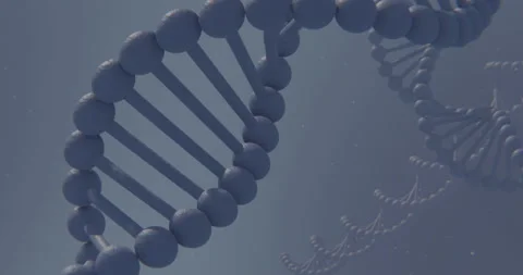Animation of a DNA molecule. Stock Footage 116379696