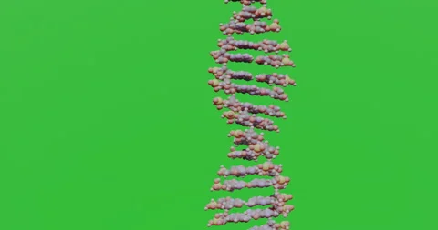 Animation of a DNA molecule on a green background. 库存影片 116379087