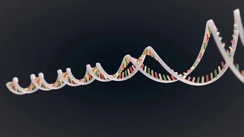Animation of DNA replication and recombination Stock Footage