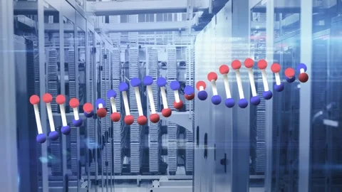 Animation of dna rotating and lights over servers Stock Footage 328822408