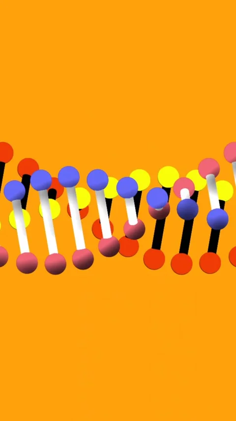 Animation of dna rotating on orange background and in black circular scanner Stock Footage 342812205