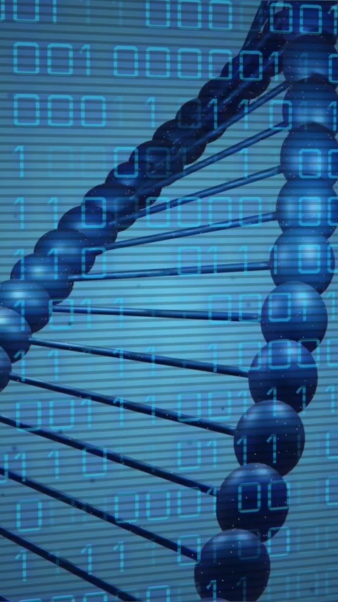 Animation of dna rotating over binary code on blue background Video stock 342801706