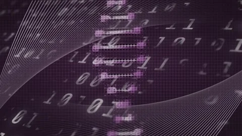 Animation of dna strand and binary coding over purple background Stock Footage 329283401