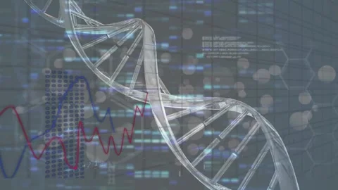 Animation of dna strand and data processing on black background 스톡 동영상 170561306