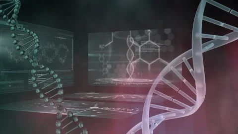 Animation of dna strand and data processing over brain and dna strand on black Stock Footage 330583585