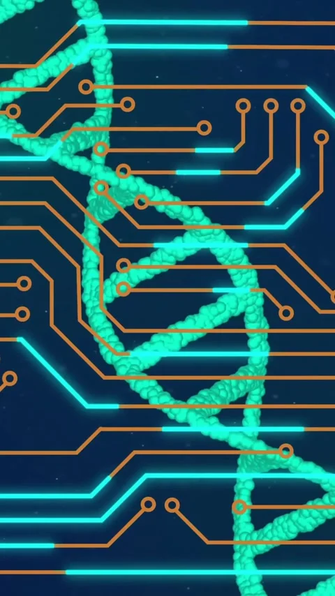 Animation of dna strand and data processing over circuit board Stock Footage 343159149