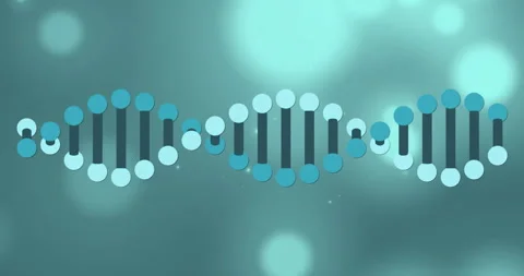 Animation of dna strand and light spots on black background Stock Footage 266314231