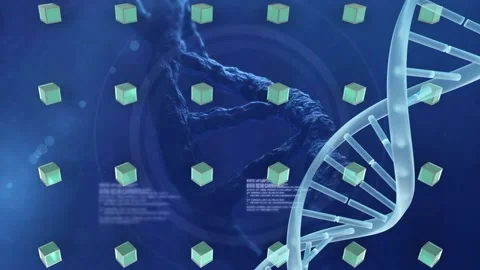 Animation of dna strand and rows of gree... | Stock Video | Pond5