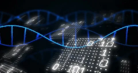 Animation of dna strand, binary coding, data processing on black background Stock Footage 326038943
