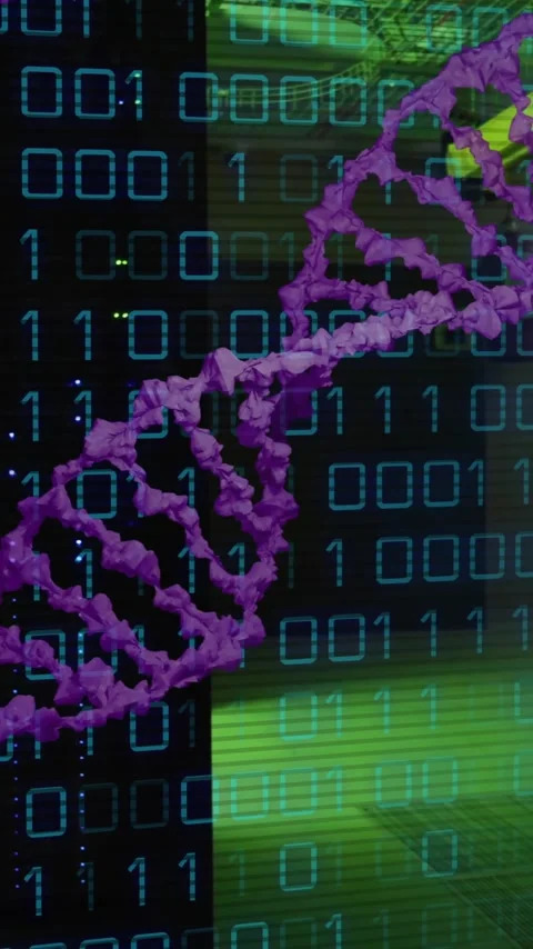 Animation of dna strand, binary coding and data processing over computer servers Stock-Footage 342805911