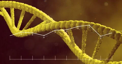 Animation of DNA strand with data graph overlay on yellow background Stock Footage 303555046