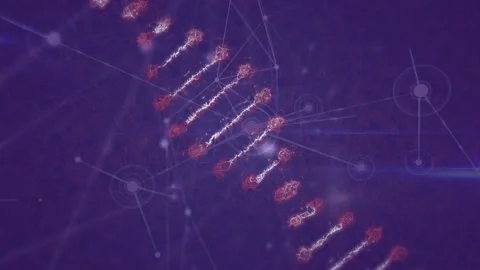 Animation of dna strand, network of conn... | Stock Video | Pond5