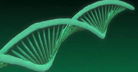 Animation of dna strand over black background Stock Footage 265562270
