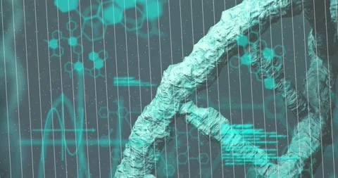Animation of dna strand over data proces... | Stock Video | Pond5