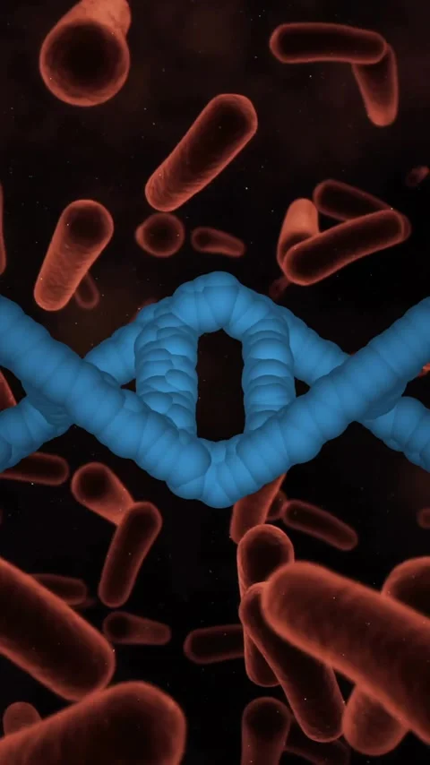 Animation of DNA strand with red bacteria, scientific concept in school biology Stock Footage 344244626