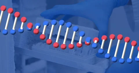 Animation of dna strand scientific data processing over scientist in laboratory Stockbeeldmateriaal 327394010