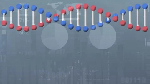 Animation of dna strand spinning and data processing on grey background Stock Footage 330107663