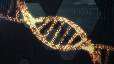 Animation of dna strand spinning and data processing on black background Stock Footage 330175605