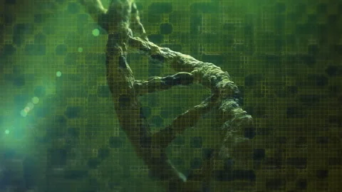 Animation of dna strand spinning over green background Stock Footage 266198866