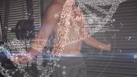 Animation of dna strand spinning over data processing and exercising strongman Stock Footage 328933473
