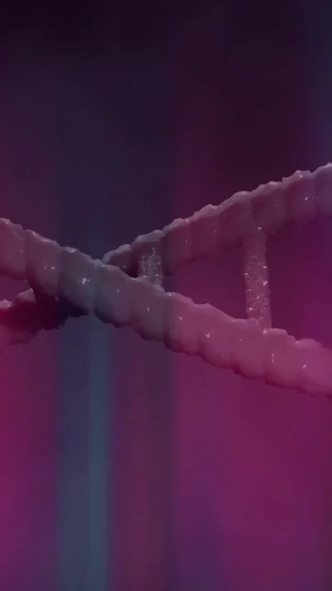 Animation of DNA strand twisting against vibrant pink and purple background Stock Footage 344404348