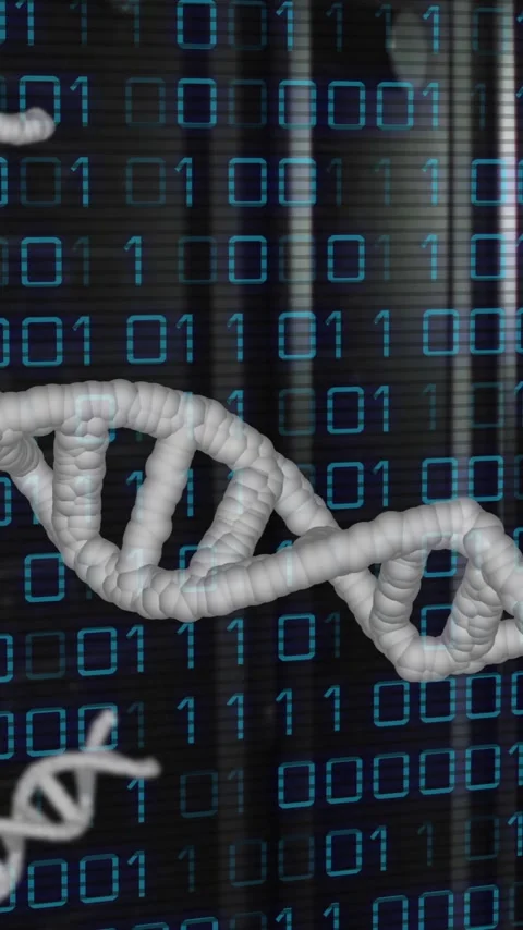 Animation of dna strands, binary coding and data processing over computer Video stock 320229112