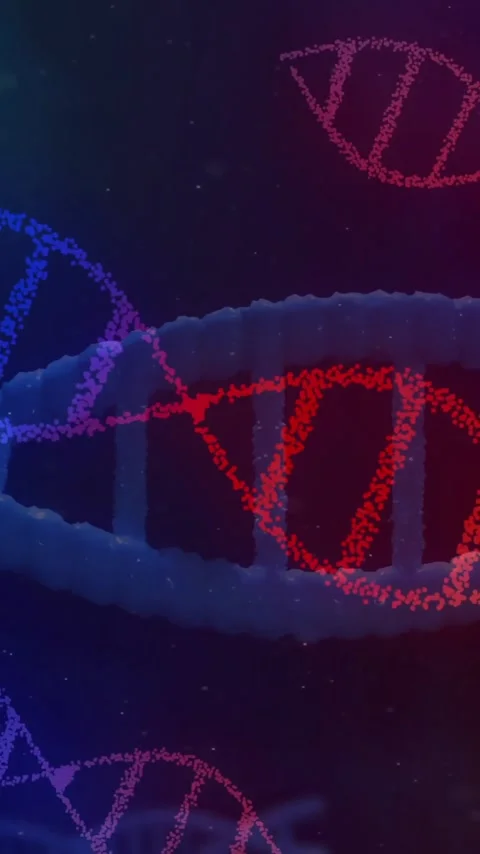 Animation of dna strands on black background Stock Footage 344614520