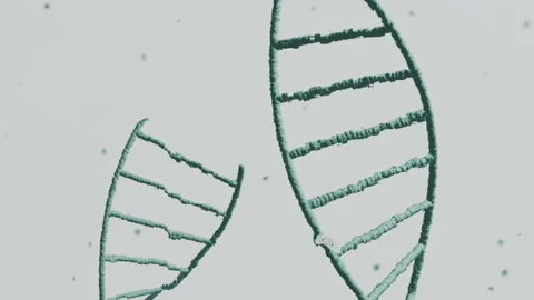 Animation of dna strands moving over hand of doctor holding hpv vaccine on grey Stock Footage 312364187