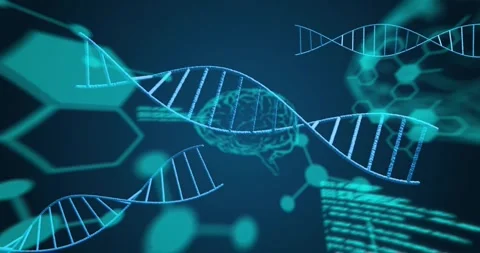 Animation of dna strands over elements, brains and data on blue background Stock Footage 327064656