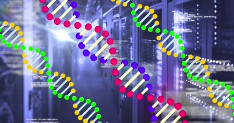 Animation of dna strands spinning and data processing over computer servers Video stock 330107981
