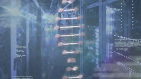Animation of dna structure and computer coding with server room in background Stock Footage 328456347