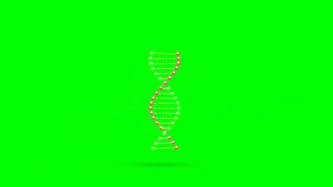Animation of DNA Structure Featuring Molecular Elements, Genetic Composition Vidéo 303141420