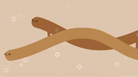 Animation of DNA worm style Stock Footage 164329970