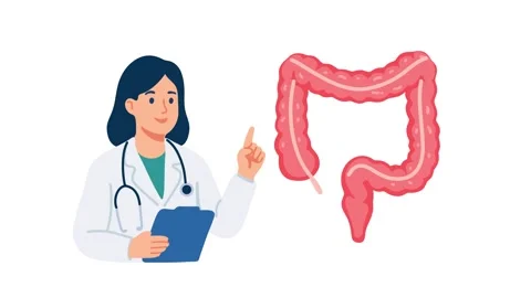 Animation doctor explaining large intestine anatomy Stock Footage 340825827