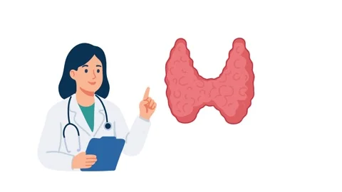 Animation doctor explaining thyroid gland anatomy Stock Footage 340826012