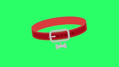 Animation dog collar on green screen. Stock Footage 263169466