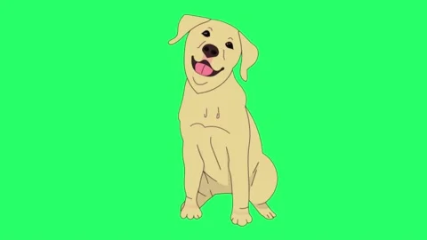 Animation dog on green screen. | Stock Video | Pond5