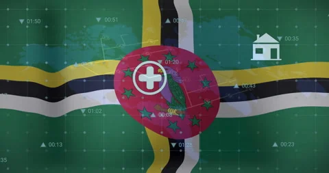 Animation of Dominica flag with digital data and house icon over world map Video stock 306217929