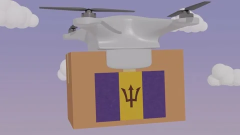 Animation Done Carrying a Package with the Flag of  - Barbados Stock Footage 233648295