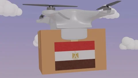 Animation Done Carrying a Package with the Flag of  - Egypt Stock Footage 233648364