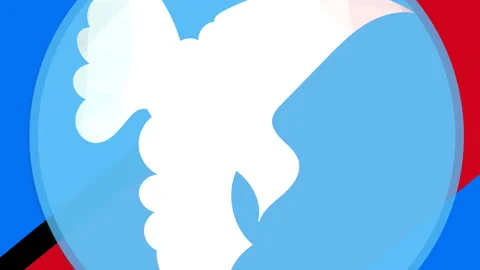 Animation of dove icon on colourful background Stock Footage 313356137