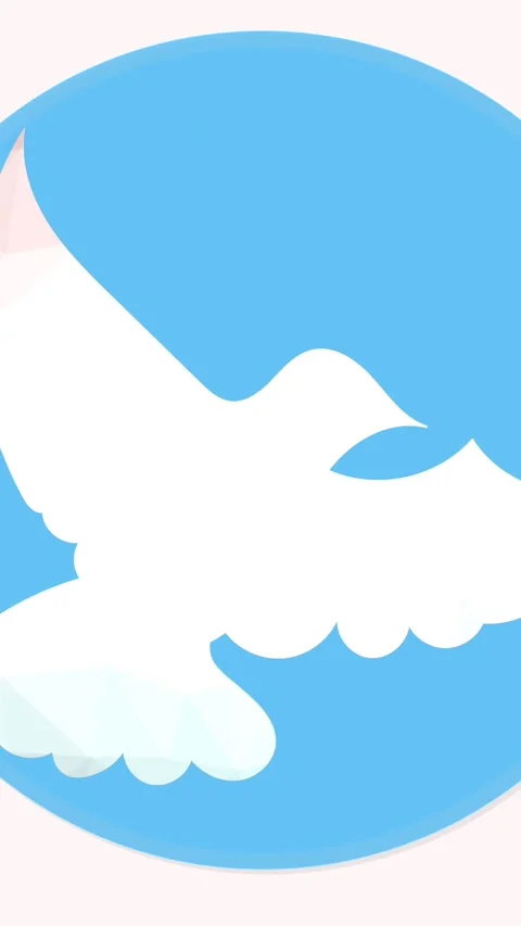 Animation of dove icon on white background Stock Footage 320160922