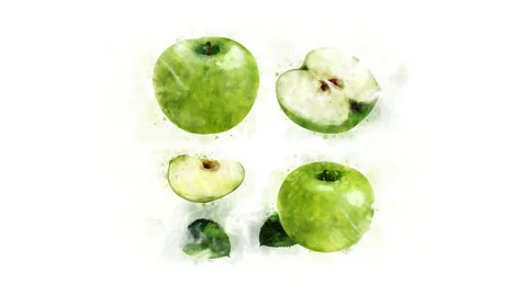 Animation drawing Green apple | Stock Video | Pond5