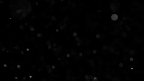 Animation of dust particles, ash, or snow floating in the wind. The black p.. Stock Footage 275823717