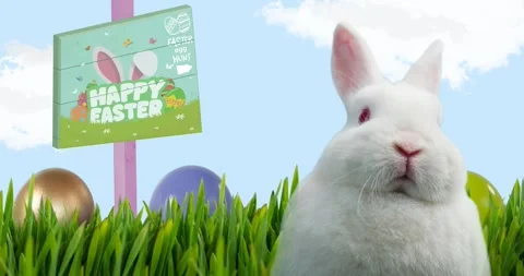 Animation of easter bunny with happy easter and egg hunt text on board over blue Stock Footage 328585007