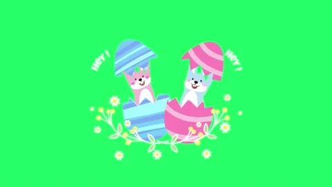 Animation EASTER egg on green background. Stock Footage 235296341