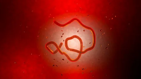 Animation of a Ebola virus floating in t... | Stock Video | Pond5