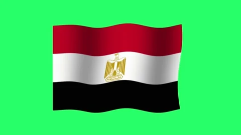 Animation egypt flag on green background. Stock Footage 199168274